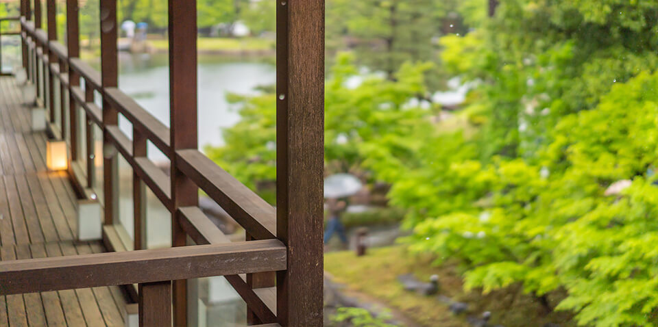 雨の庭園