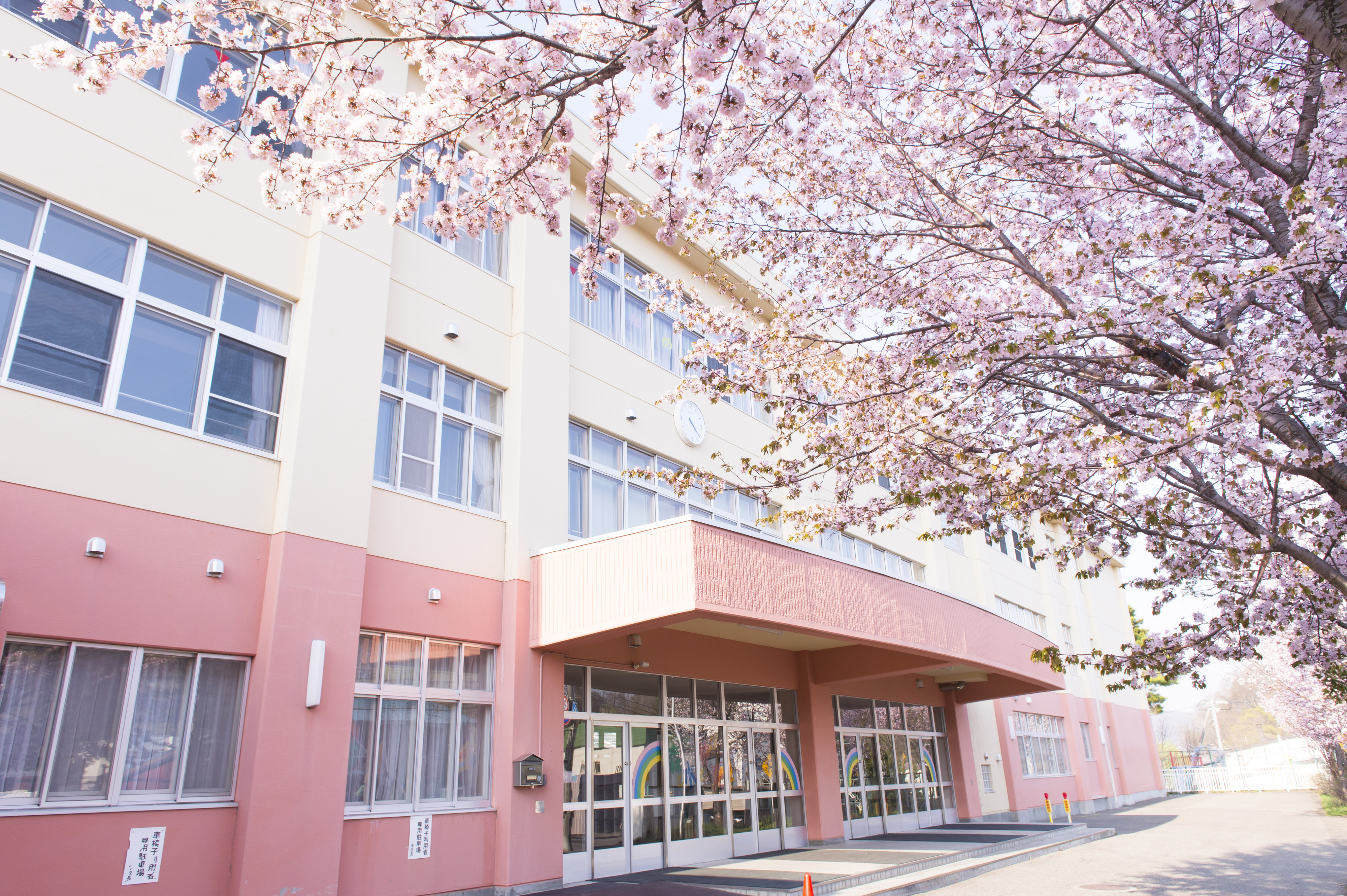 桜と小学校（入学式）